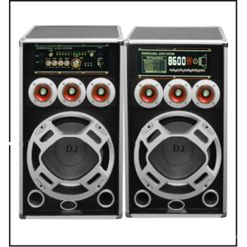 Double 10 Zoll Karaoke mit Bluetooth USB FM aktiven Lautsprecher